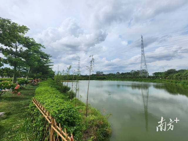 广州番禺区这条河涌是如何实现“蝶变”的？