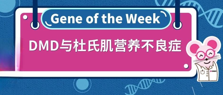 DMD与杜氏肌营养不良症