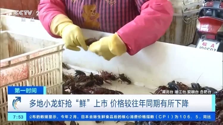 价格大降！小龙虾接近腰斩，摊主：预计4月中旬左右最低
