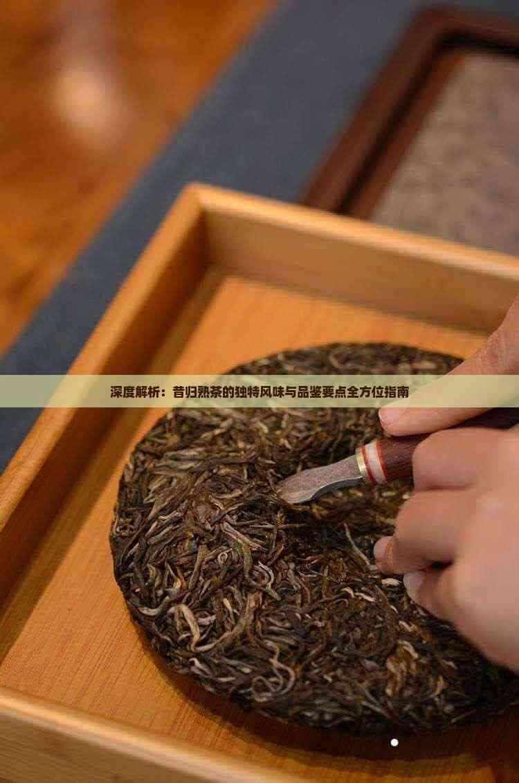 深度解析：昔归熟茶的独特风味与品鉴要点全方位指南
