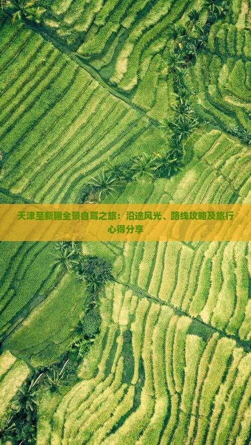 天津至新疆全景自驾之旅：沿途风光、路线攻略及旅行心得分享