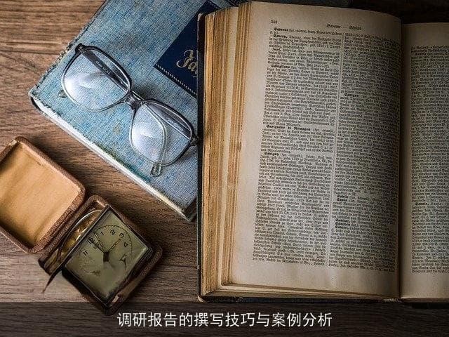 调研报告的撰写技巧与案例分析