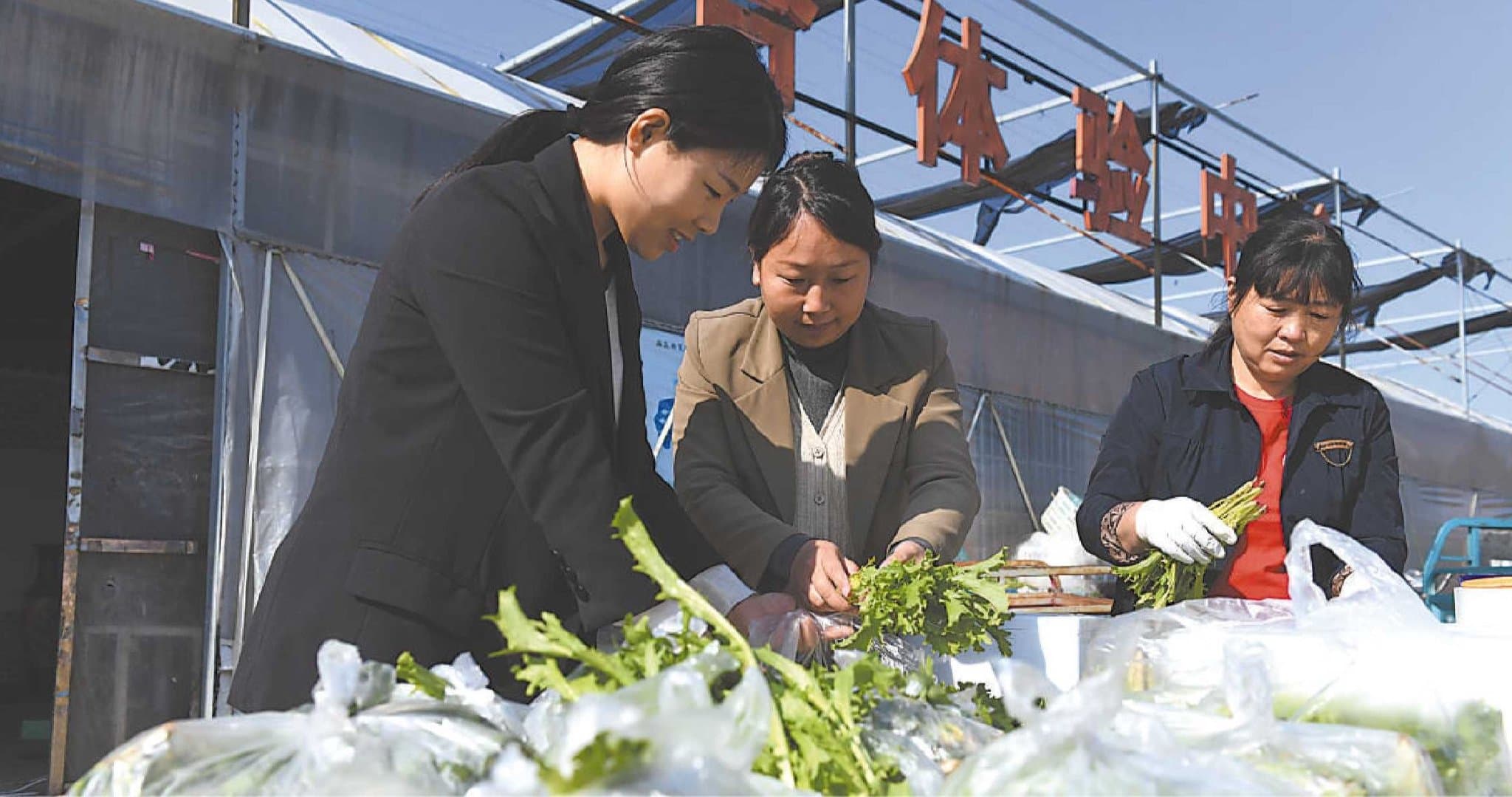 城乡社区活力满满 集体经济红红火火