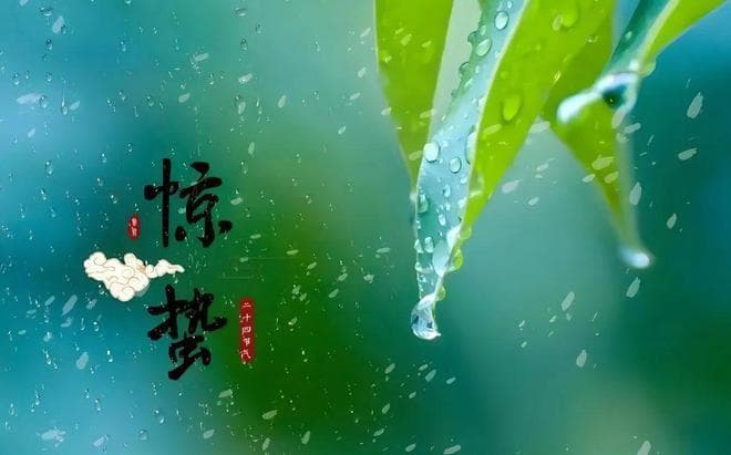 惊蛰时节话食俗：四种传统美食与文化内涵