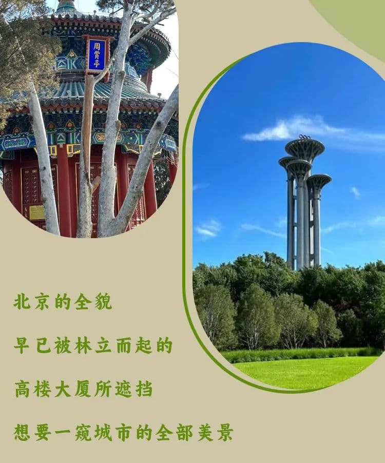 登高望远，这几处宝藏景观位