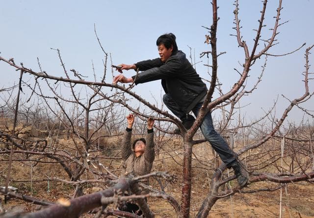 回溯算法详解：与递归、DFS的关系，剪枝与恢复现场，N皇后问题解法及复杂度分析