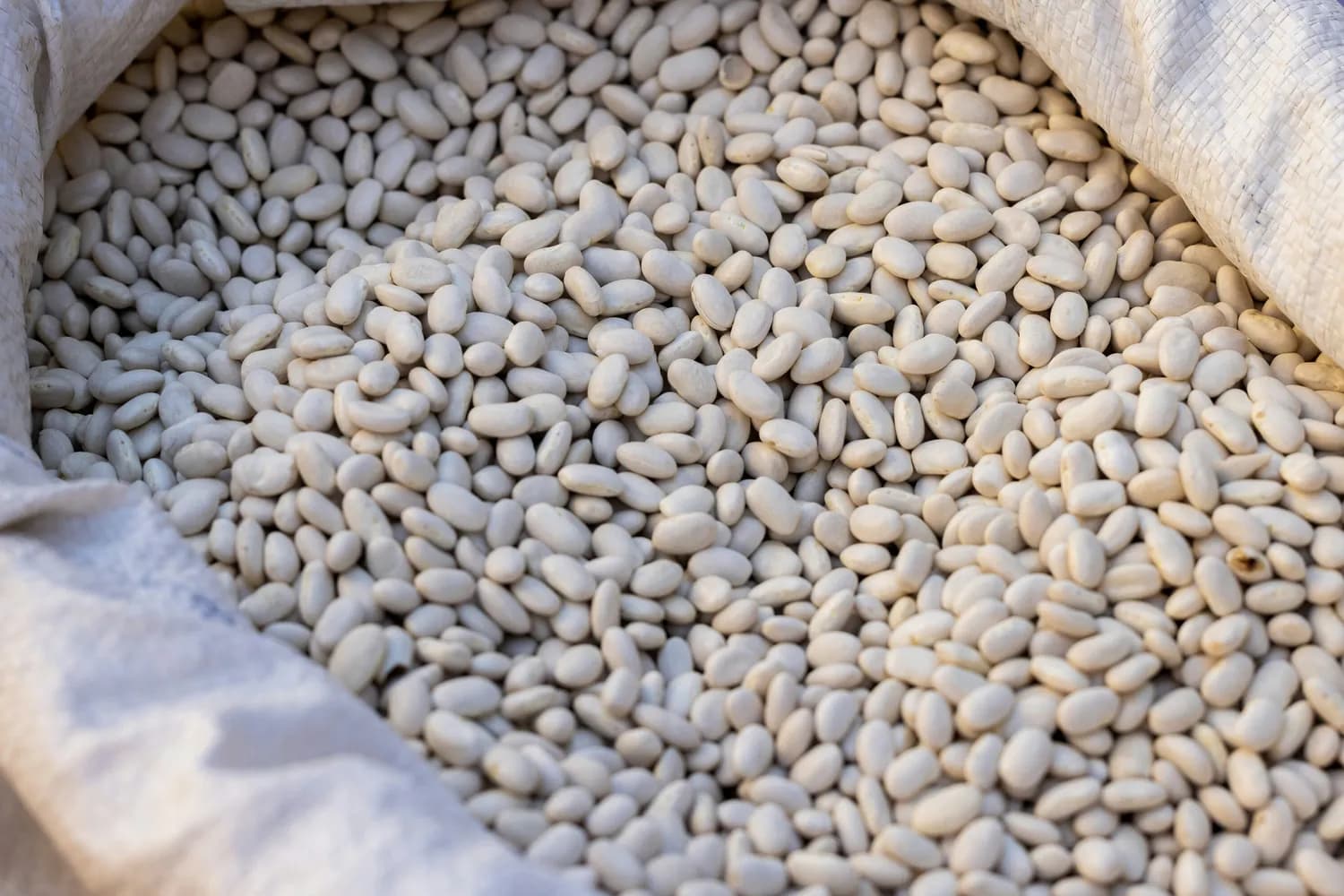 白芸豆减肥效果几何？专家：可辅助但非万能