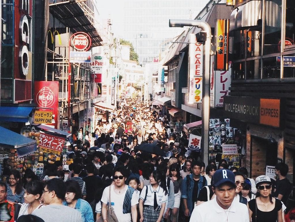 和歌山市：日本南部的文化与自然瑰宝