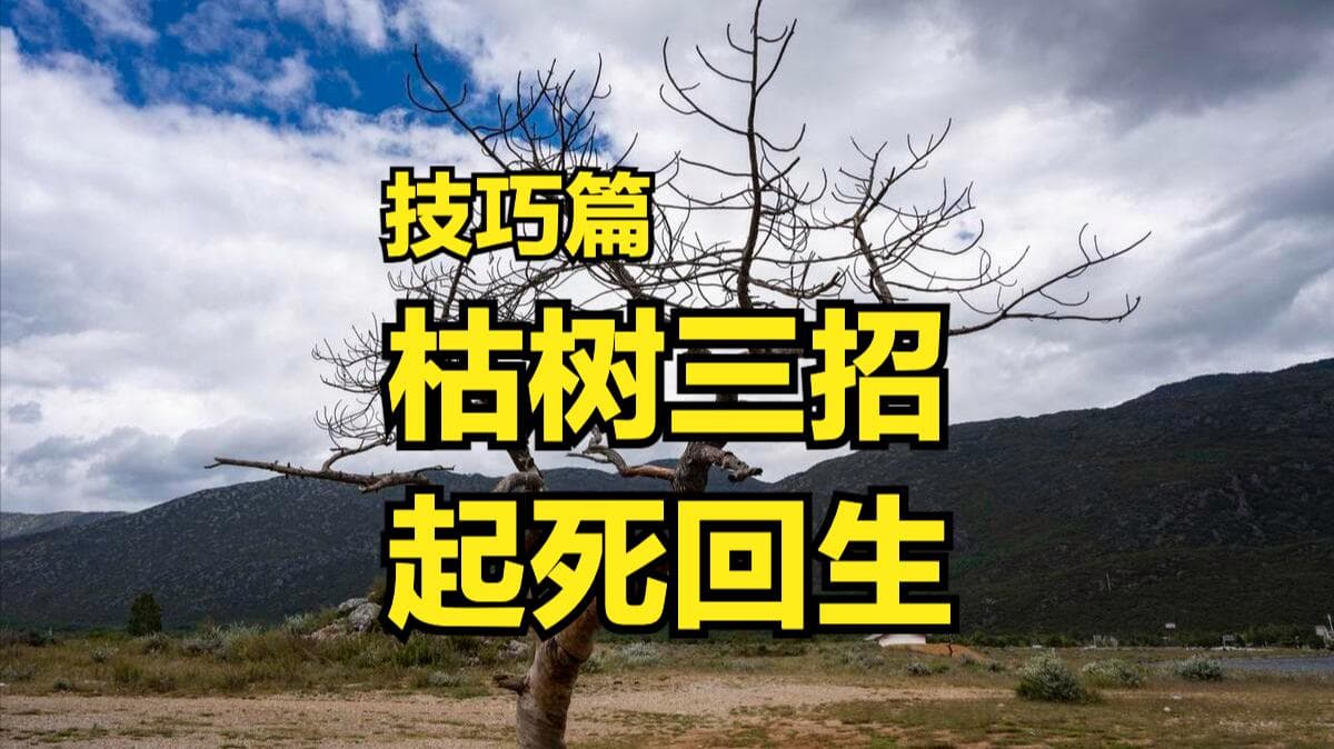 枯树怎样才能起死回生呢？老农分享三招，春天发新芽！