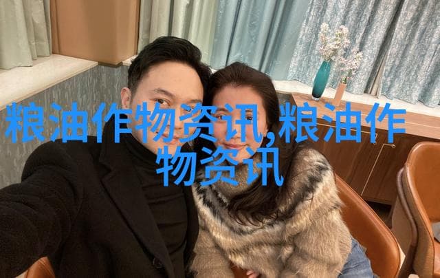 空间有限不再是障碍：小户型室内蔬菜种植指南