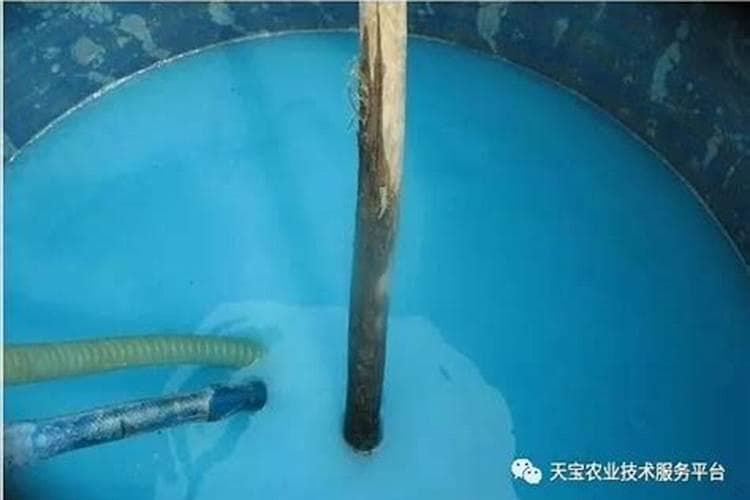 波尔多液：使用须知与安全指南