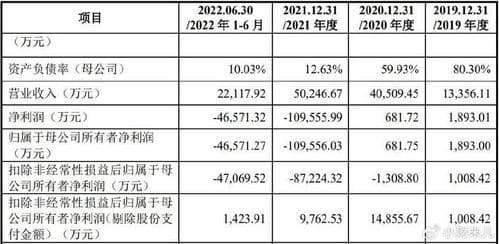 详细分析公司亏损的原因