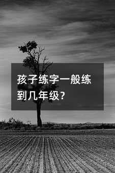 孩子练字一般练到几年级？