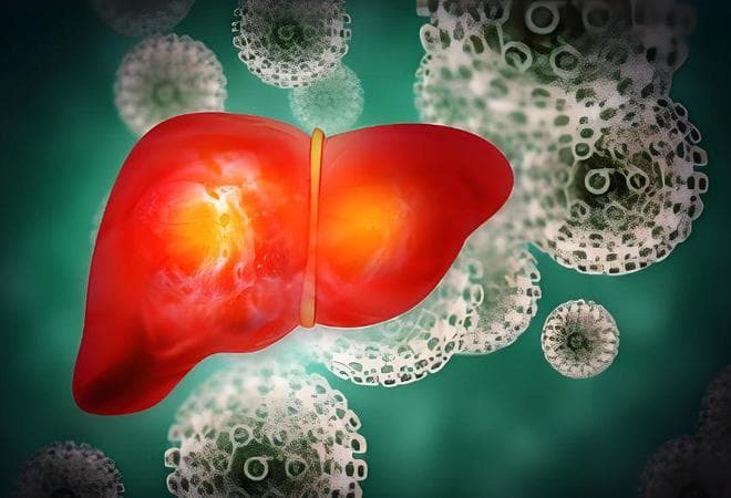 守护肝脏健康：深度剖析肝癌早筛的筛查人群、手段及结果判读
