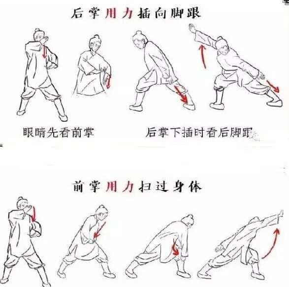 八部金刚功基本动作详解：从手部到眼神的七大类动作解析