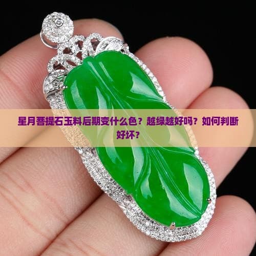 星月菩提石玉料后期变什么色？越绿越好吗？如何判断好坏？