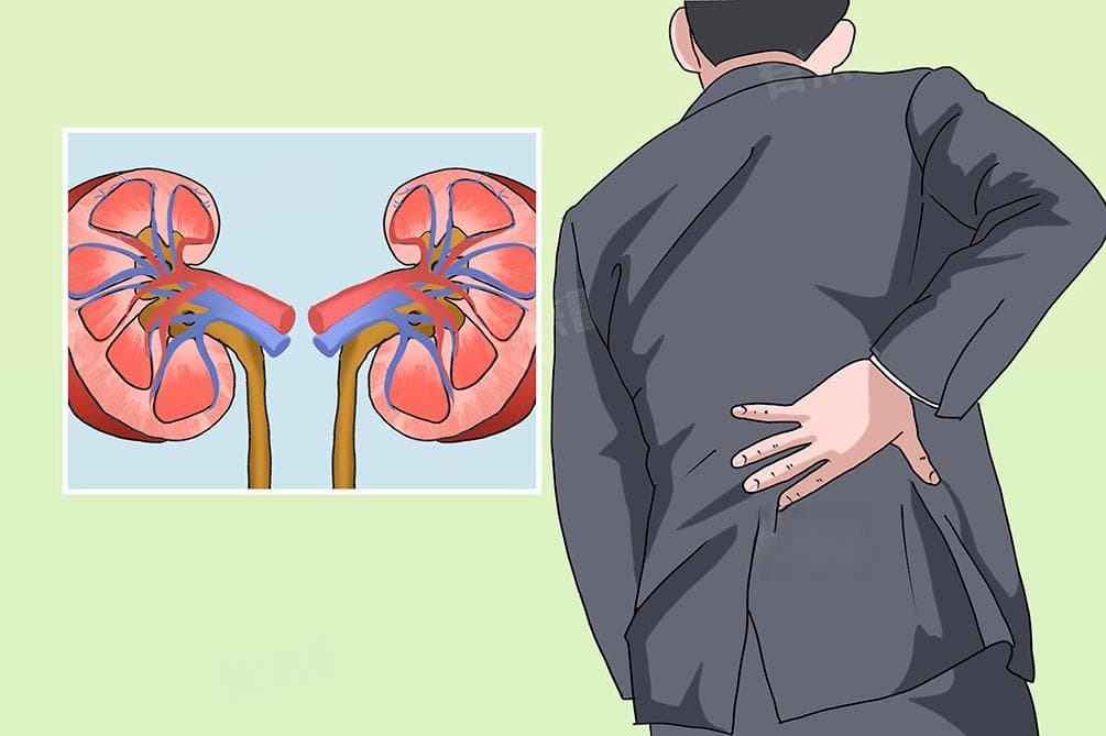 肾功能衰竭治疗方案