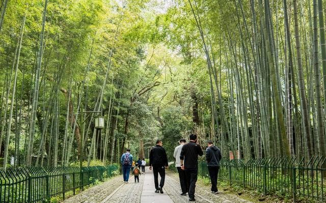 杭州西湖边的三处小众胜地：从皇家竹径到南宋八卦田