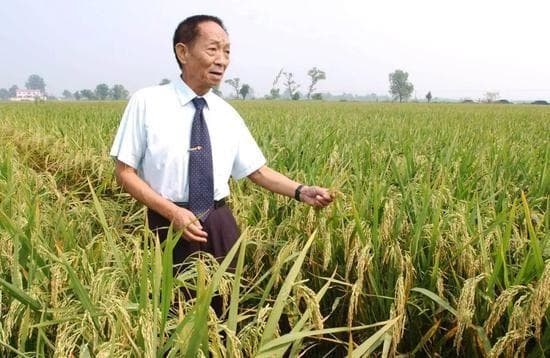 近代史上，十位中国之父，每一位都是国之脊梁