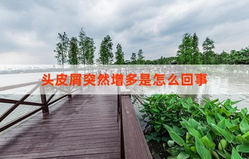 头皮屑突然增多是怎么回事？原因解析与应对方法
