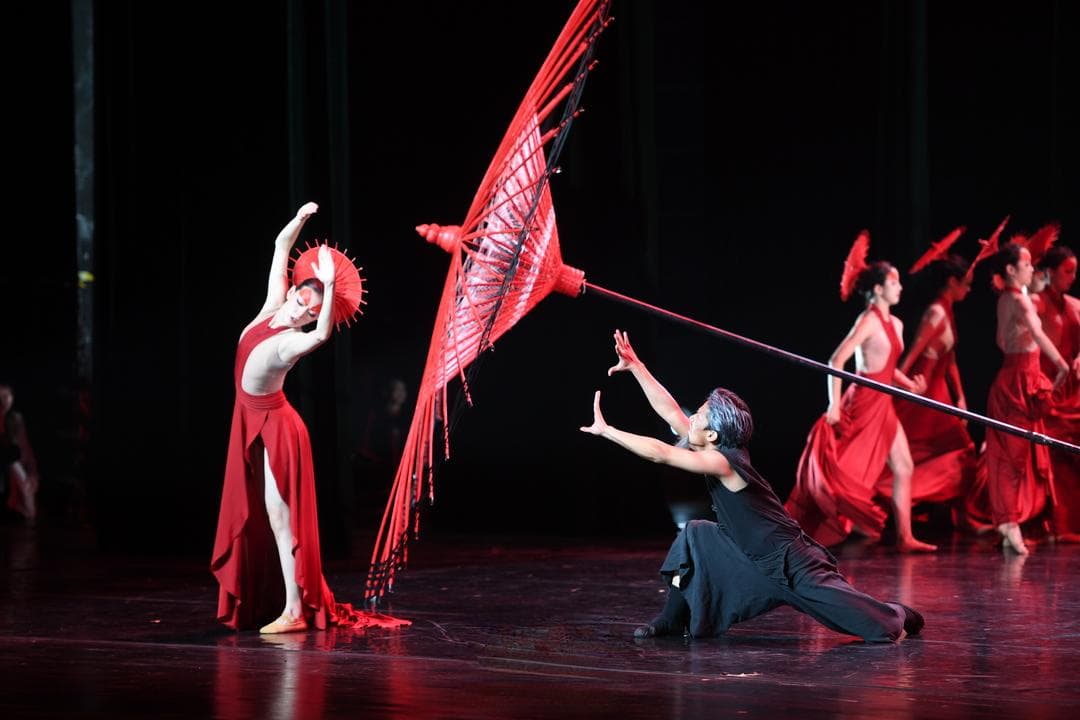 一票难求！“荷花奖”巡演引发长沙观演热潮