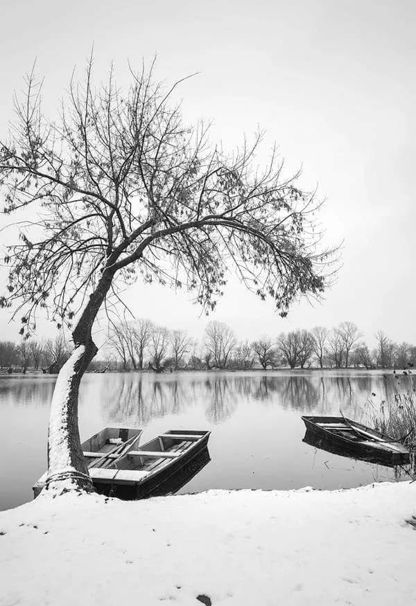 《江雪》中的孤独美学及其文化意蕴探究