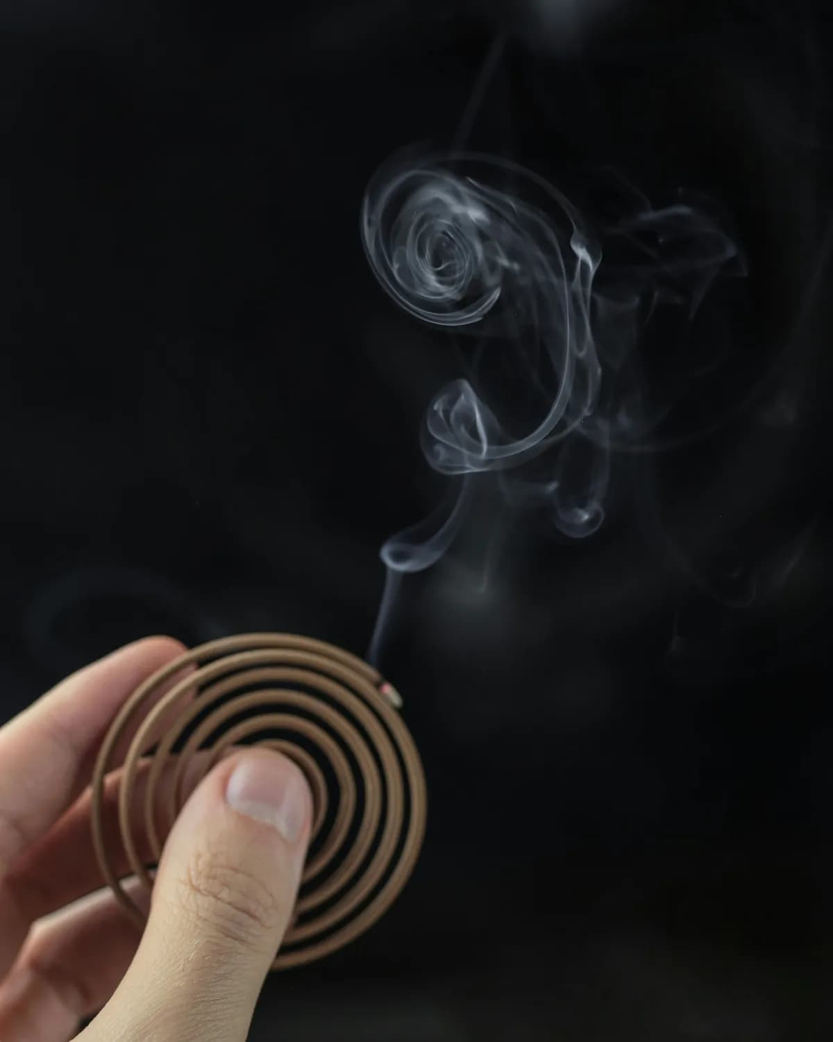 山泽损卦：如何在损失中找到机会？