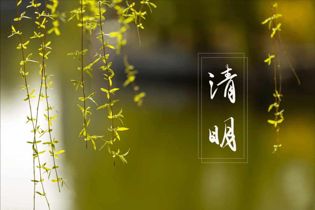 60年一遇的清明节，哪天上坟最合适？老祖宗3000年前就说明白了