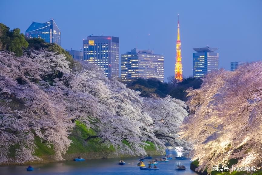 春和景明|2025年日本赏樱攻略，各大打卡地速码
