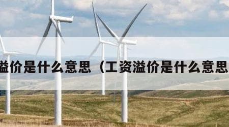 什么是溢价？溢价的定义与作用详解