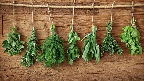 豆制品粗细搭配水果蔬菜的比例