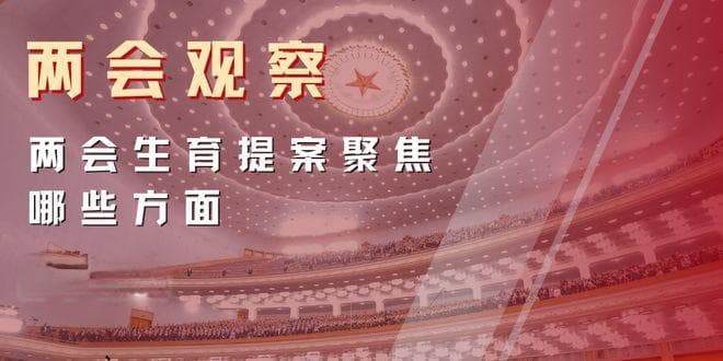 IPP两会观察：2024年全国两会鼓励生育提案深度分析