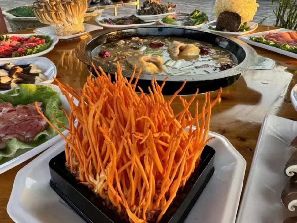 万盛：科技赋能 小蘑菇铺就乡村振兴产业路