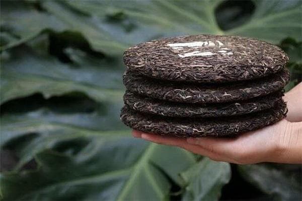 大红袍茶的饮用方式及对胃部的影响