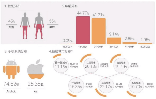 深度解析用户画像：数据运营的核心力量