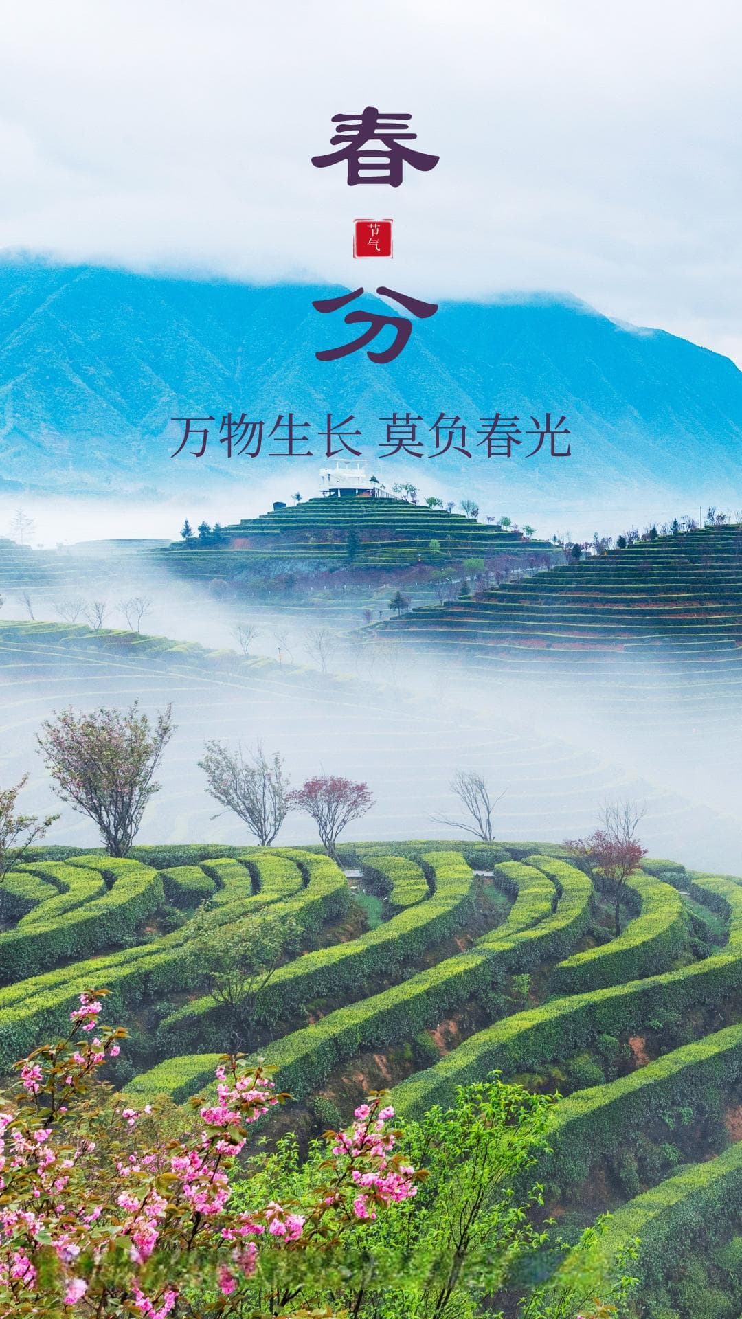春分：万物生长 莫负春光