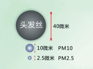 微米：从基本概念到前沿技术