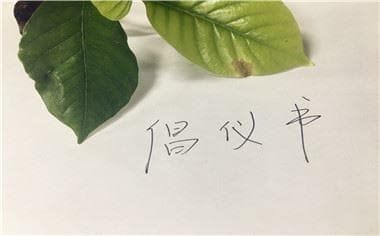 绿色环保倡议书怎么写