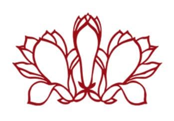 传道拓新 永不退休的“人民教育家”  | 张晋藩先生讲授法学前沿课