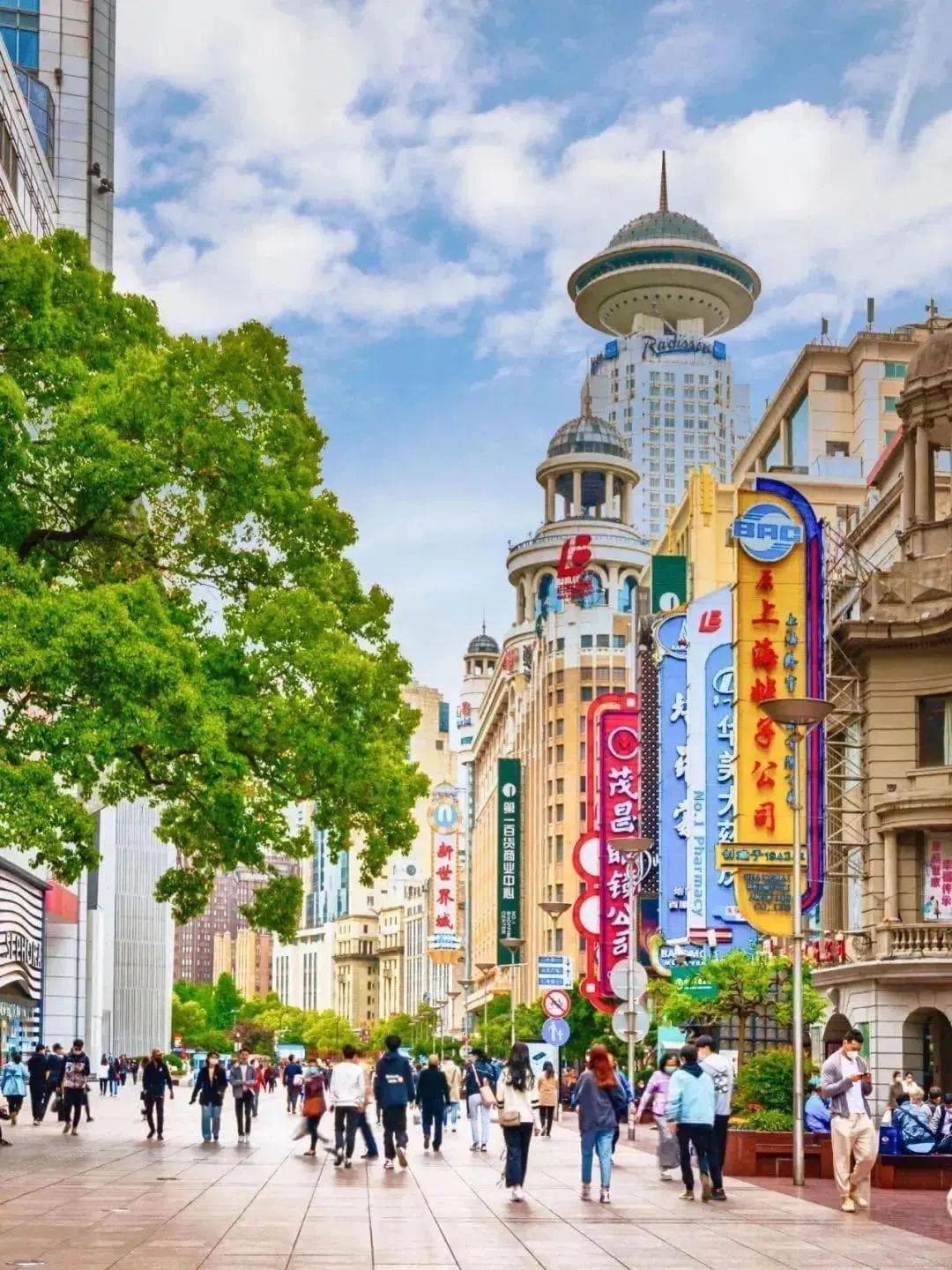 金秋上海半日游攻略！4种主题带你逛遍经典打卡地