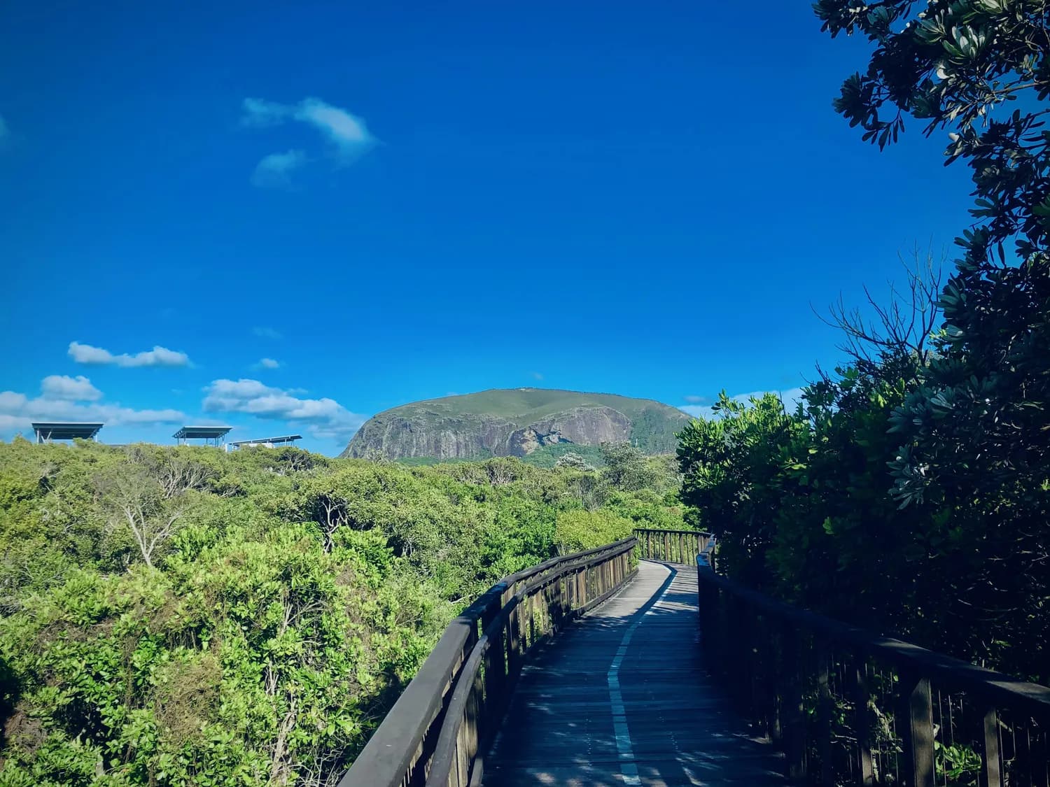 象山步道：台北101最佳观景台