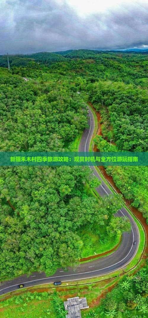 新疆禾木村四季旅游攻略：观赏时机与全方位游玩指南