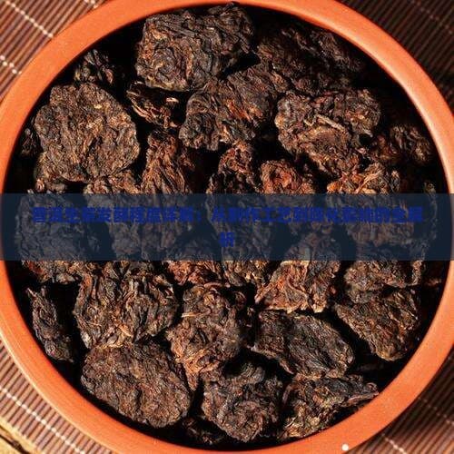 普洱生茶发酵程度详解：从制作工艺到陈化影响的全解析