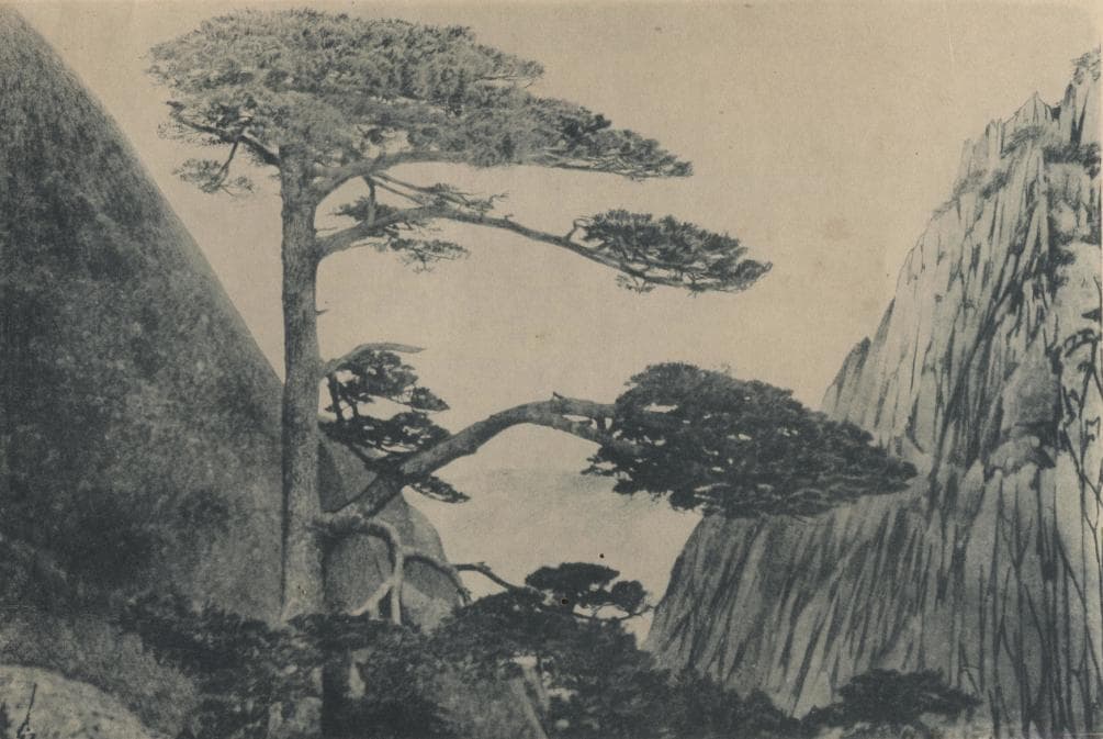 时光相册丨树守着山，他们守着树
