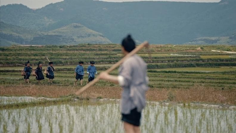 阳明悟道：农事藏着道，王阳明由此找到格物致知的真谛