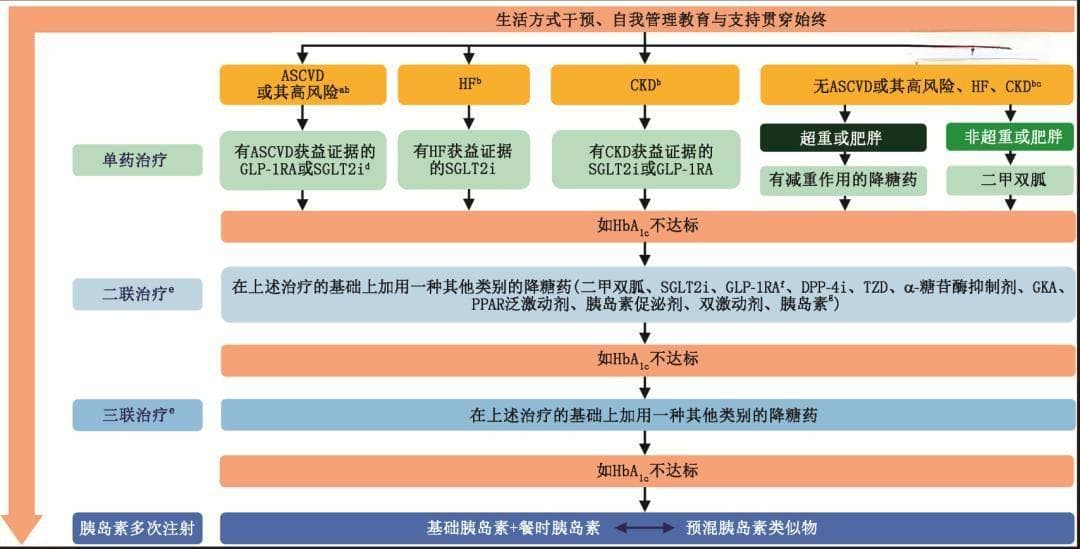 新版中国糖尿病防治指南正式颁布：降糖药物选择原则重大调整