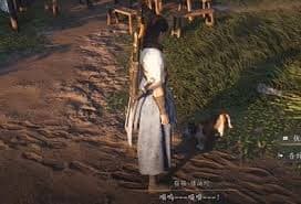 燕云十六声不羡仙猫戏位置攻略