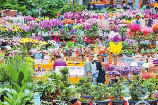 云南：市场主体倍增 云花活力蓬勃