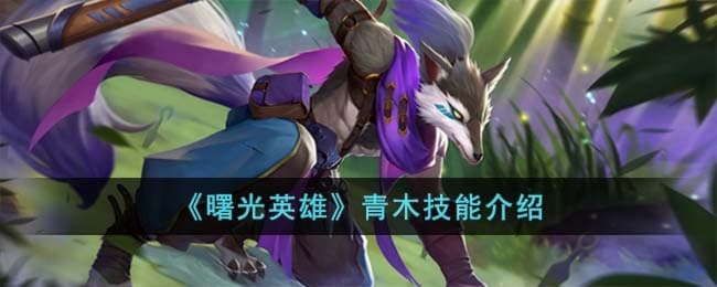 曙光英雄青木技能详解：忍者刺客的制胜之道