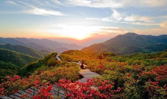 大围山杜鹃花海自驾游攻略推荐